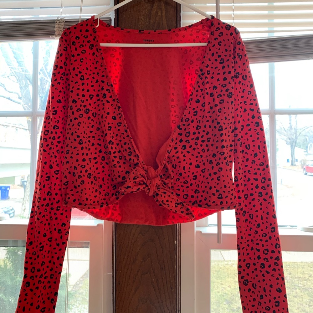 Aritzia Brand: Sunday Best Long Sleeve Top